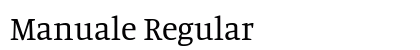Manuale Regular Preview