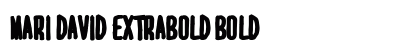 MARI&amp;DAVID EXTRABOLD Bold preview