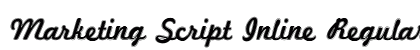 Marketing Script Inline Regular preview