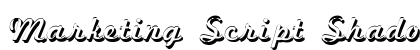 Marketing Script Shadow Regular preview