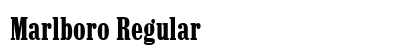 Marlboro Regular preview