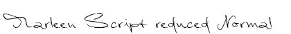 Marleen Script reduced Normal preview