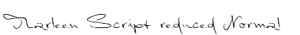 Marleen Script reduced Normal preview