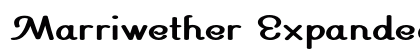 Marriwether Expanded Bold Preview