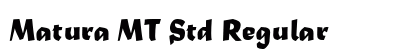 Matura MT Std Regular preview
