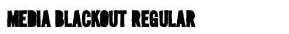Media Blackout Regular preview