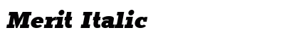 Merit Italic preview