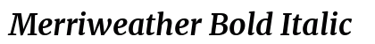 Merriweather Bold Italic Preview