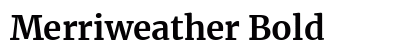Merriweather Bold preview