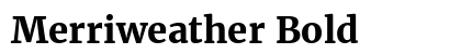 Merriweather Bold preview