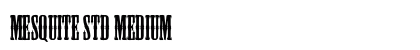 Mesquite Std Medium preview