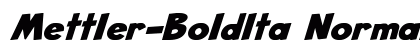 Mettler-BoldIta Normal preview