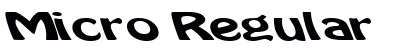 Micro Regular preview
