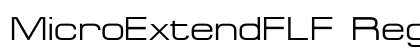 MicroExtendFLF Regular Preview
