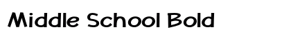 Middle School Bold preview