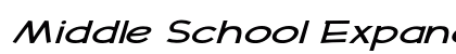 Middle School Expanded Italic Preview