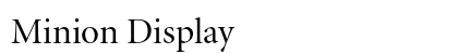 Minion Display Preview