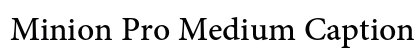 Minion Pro Medium Caption Preview