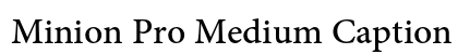 Minion Pro Medium Caption Preview