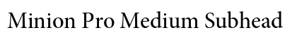 Minion Pro Medium Subhead Preview