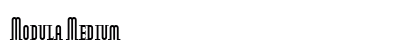 Modula Medium Preview