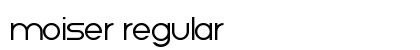 Moiser Regular Preview