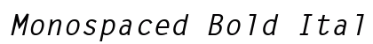 Monospaced Bold Italic Preview