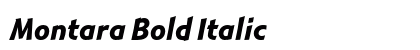 Montara Bold Italic Preview