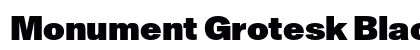 Monument Grotesk Black Regular Preview