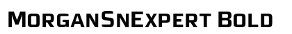 MorganSnExpert Bold preview
