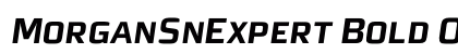 MorganSnExpert Bold Oblique Preview