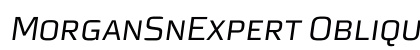 MorganSnExpert Oblique preview