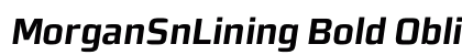 MorganSnLining Bold Oblique Preview
