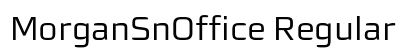 MorganSnOffice Regular preview