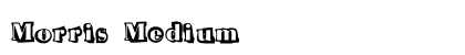 Morris Medium preview