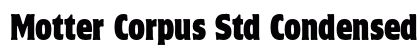 Motter Corpus Std Condensed preview