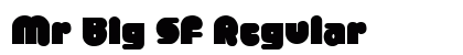 Mr Big SF Regular preview