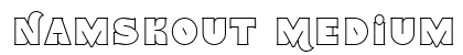 Namskout Medium preview