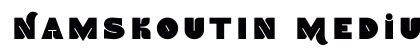 NamskoutIn Medium preview