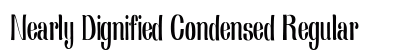 Nearly Dignified Condensed Regular preview