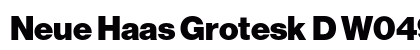 Neue Haas Grotesk D W0495 Bold preview