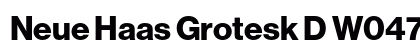 Neue Haas Grotesk D W0475 Bold preview