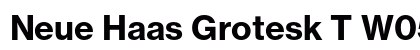 Neue Haas Grotesk T W0575 Bold preview