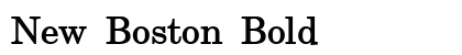 New Boston Bold preview