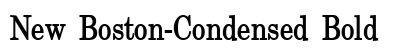 New Boston-Condensed Bold preview