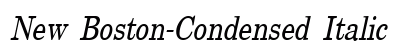 New Boston-Condensed Italic Preview