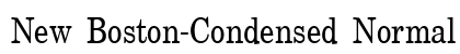 New Boston-Condensed Normal Preview