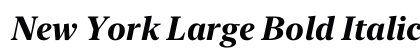 New York Large Bold Italic Preview