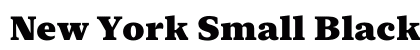 New York Small Black preview