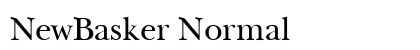 NewBasker Normal Preview